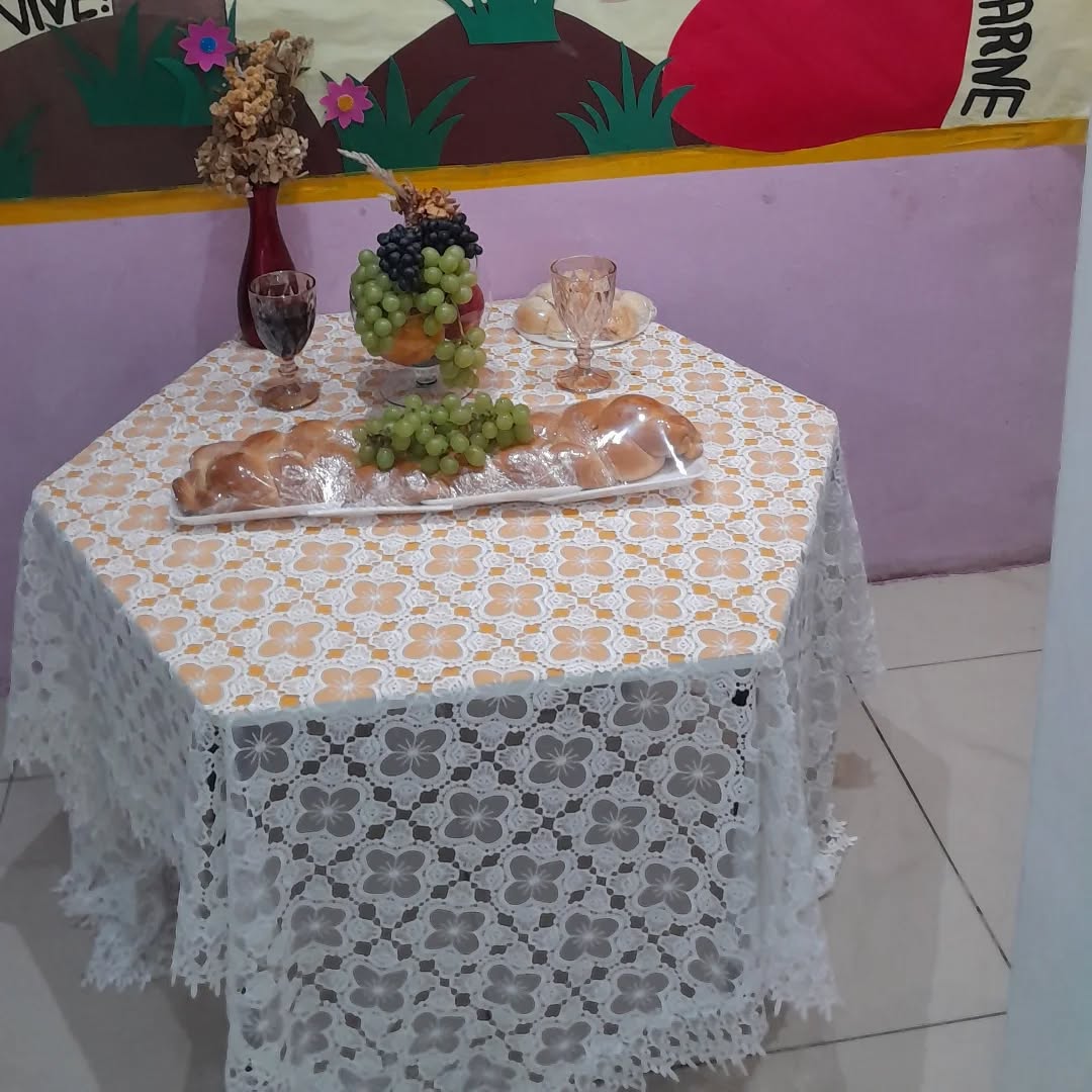 Visita da Ovelhinha na Dias do Saber